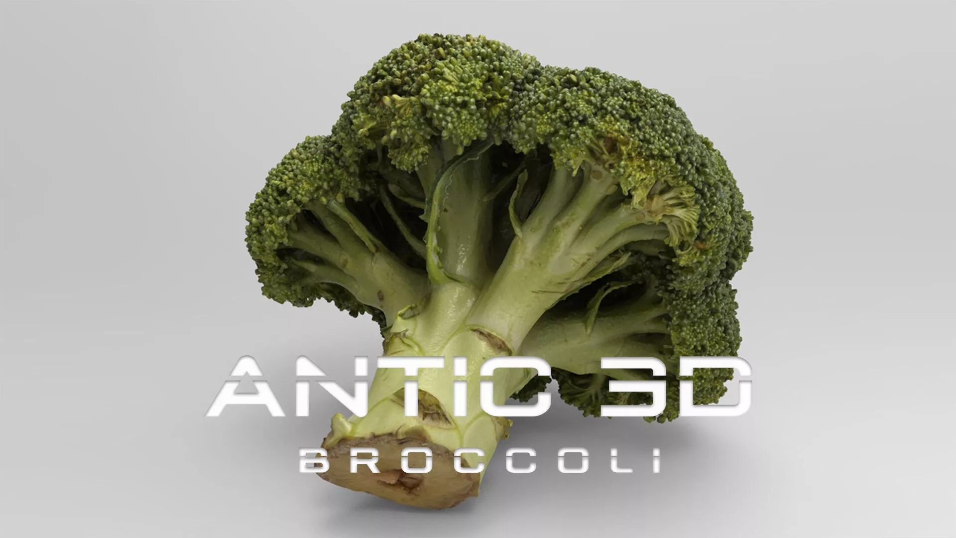 Broccoli 3d model piece of Low-poly 3D model