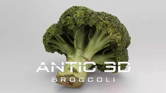Broccoli 3d model piece of Low-poly 3D model