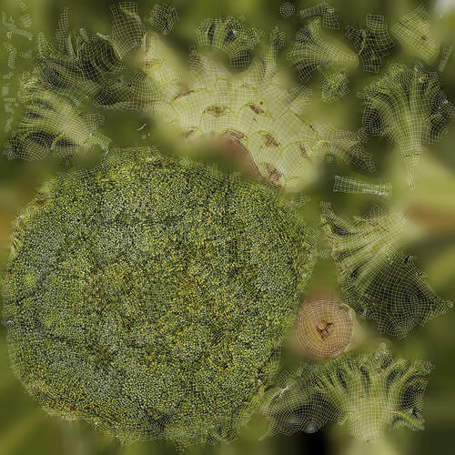 Broccoli 3d model piece of Low-poly 3D model 7