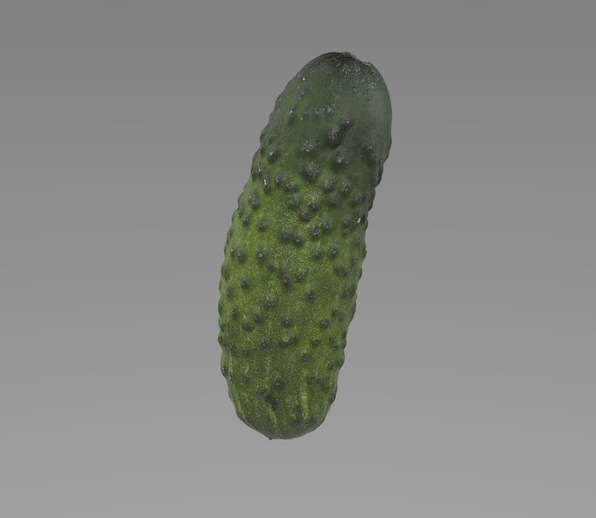 Cucumber 3d model Low-poly 3D model_6