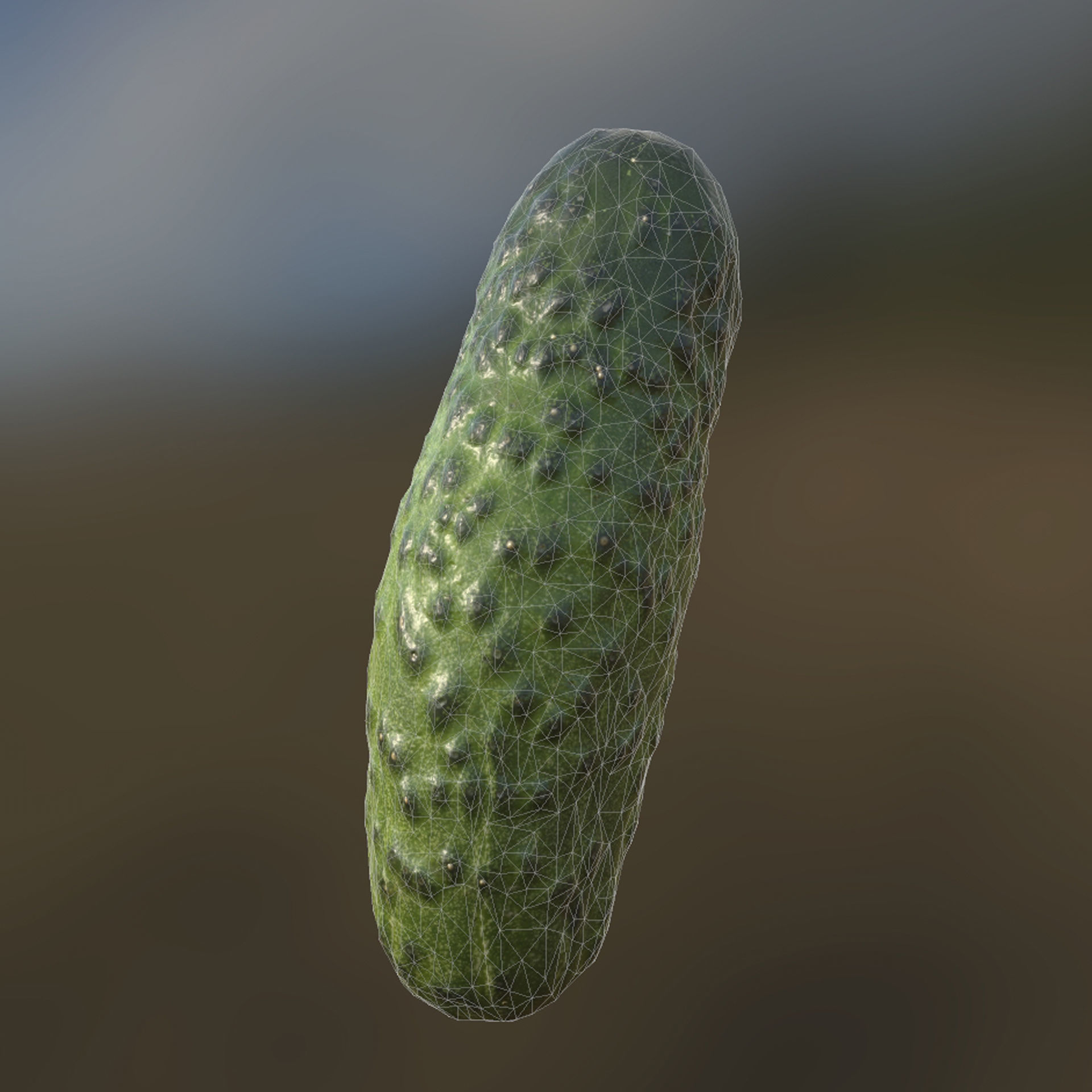 Cucumber 3d model Low-poly 3D model_3