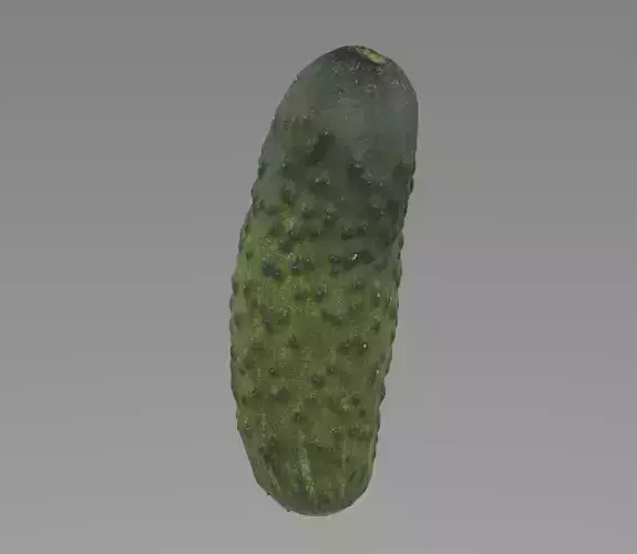 Cucumber 3d model Low-poly 3D model