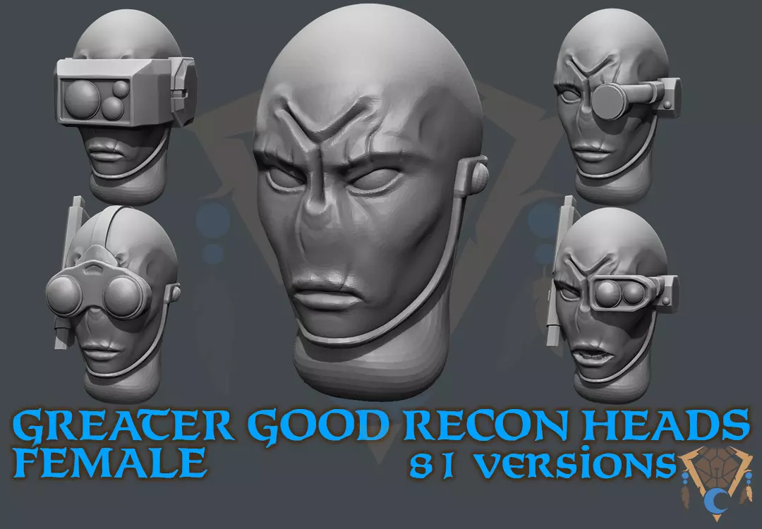 GREATER GOOD RECON FEMALE HEADS 3D print model_0