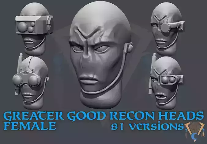 GREATER GOOD RECON FEMALE HEADS 3D print model