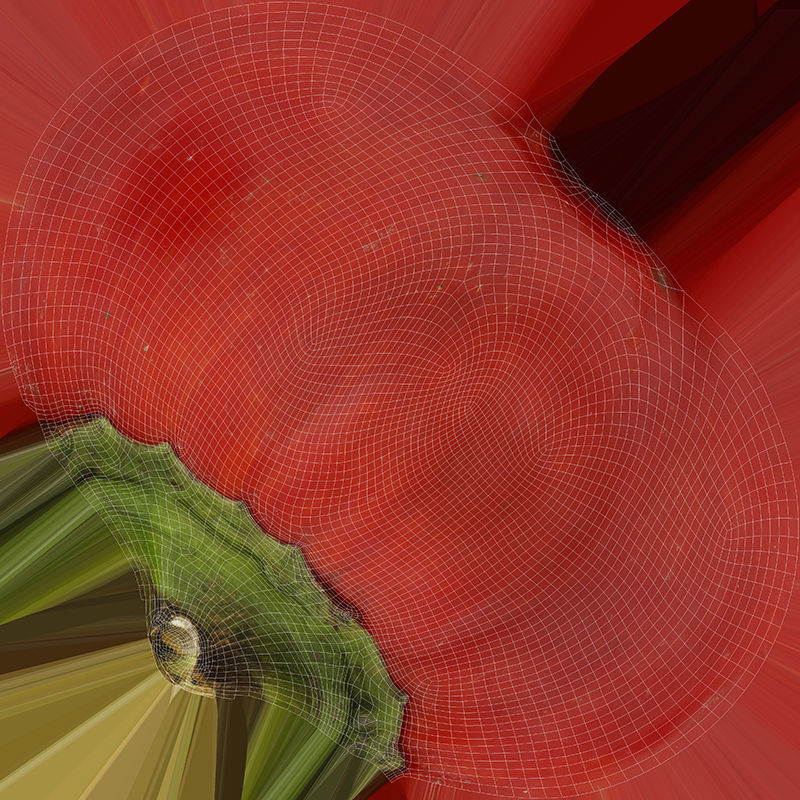 Pepper 3D model Low-poly 3D model_4