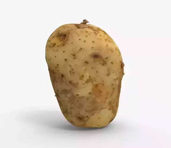 Potato 3D Low-poly 3D model