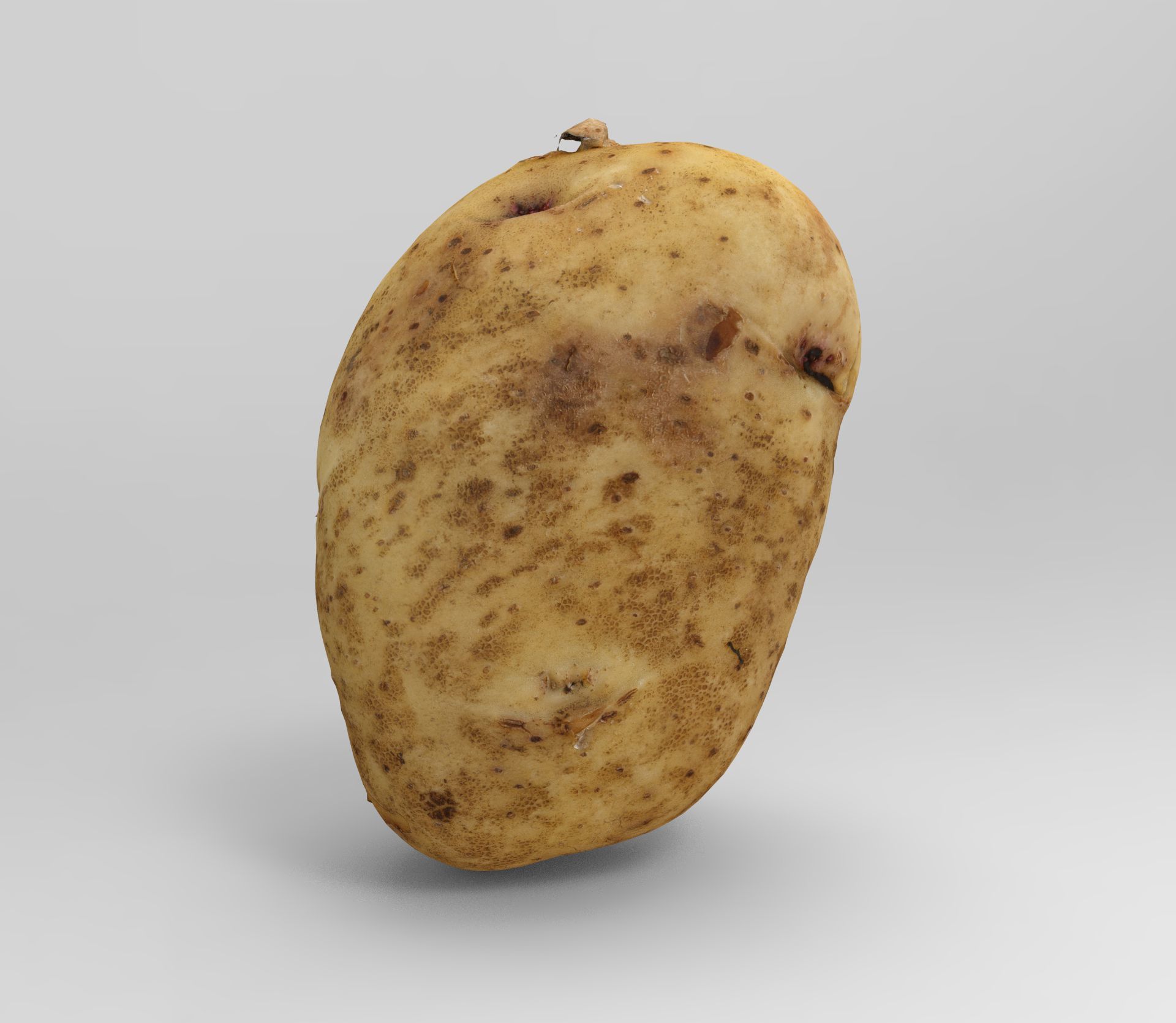 Potato 3D Low-poly 3D model_5