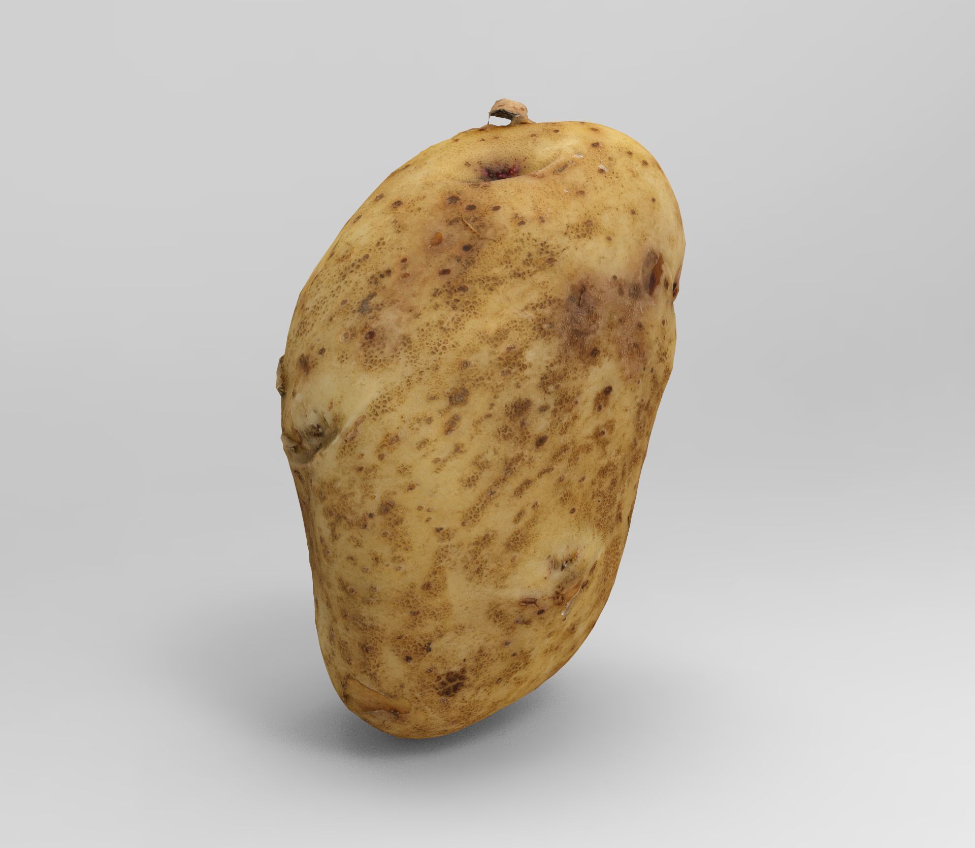 Potato 3D Low-poly 3D model_7
