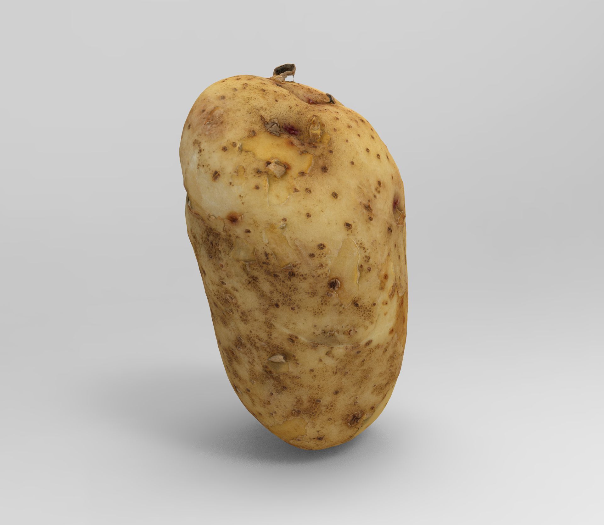Potato 3D Low-poly 3D model_6