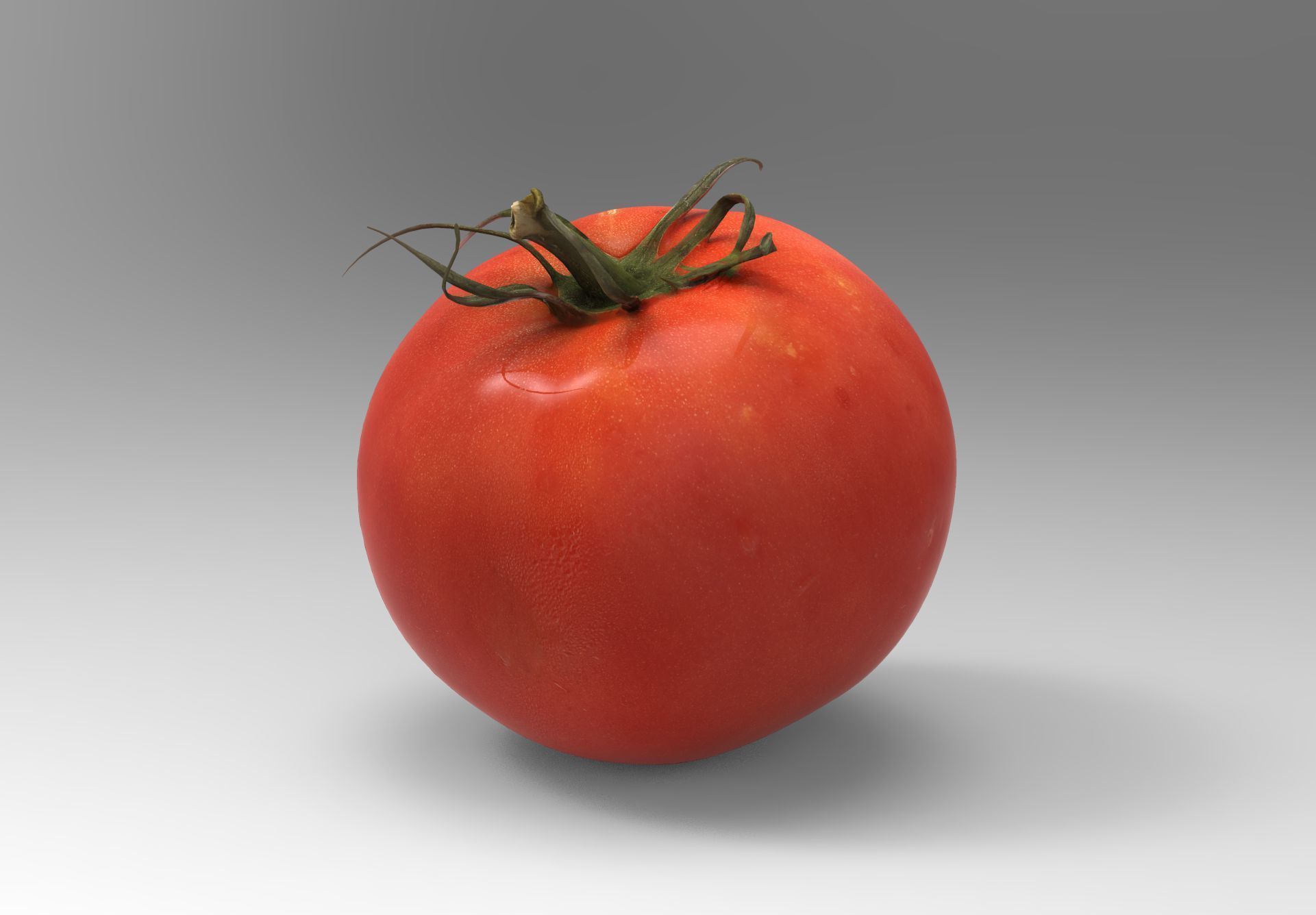 Tomato 3D model Low-poly 3D model_10