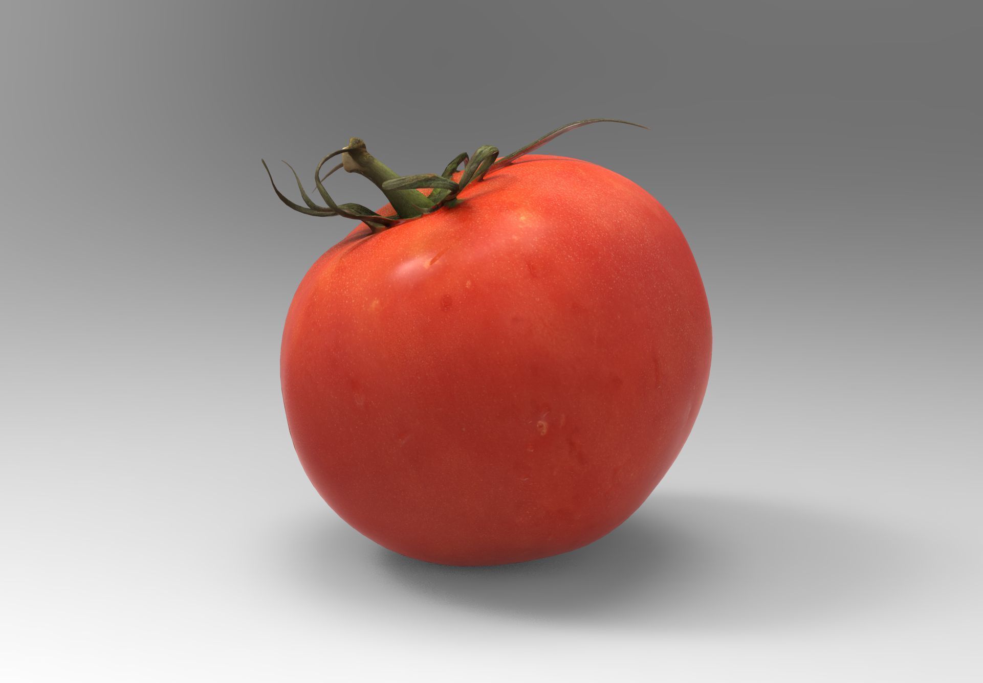 Tomato 3D model Low-poly 3D model_2