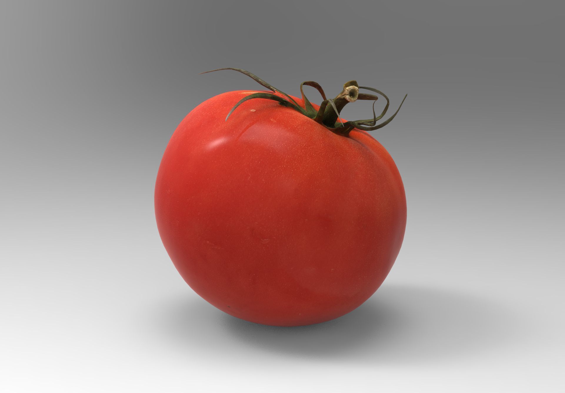 Tomato 3D model Low-poly 3D model_7