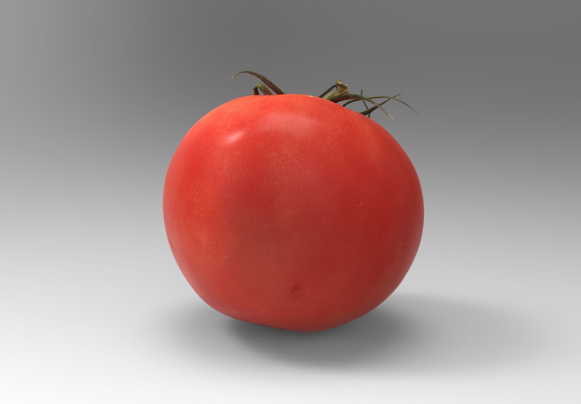 Tomato 3D model Low-poly 3D model_8