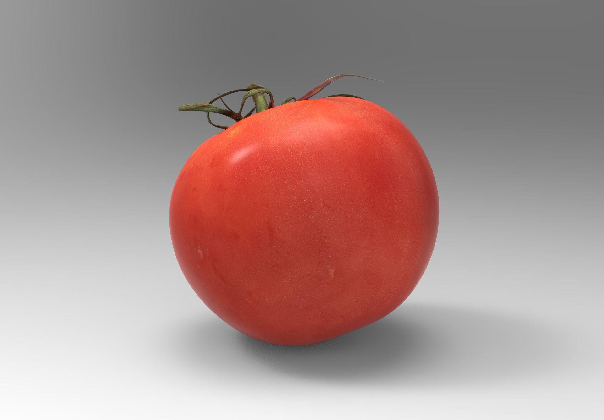 Tomato 3D model Low-poly 3D model_6