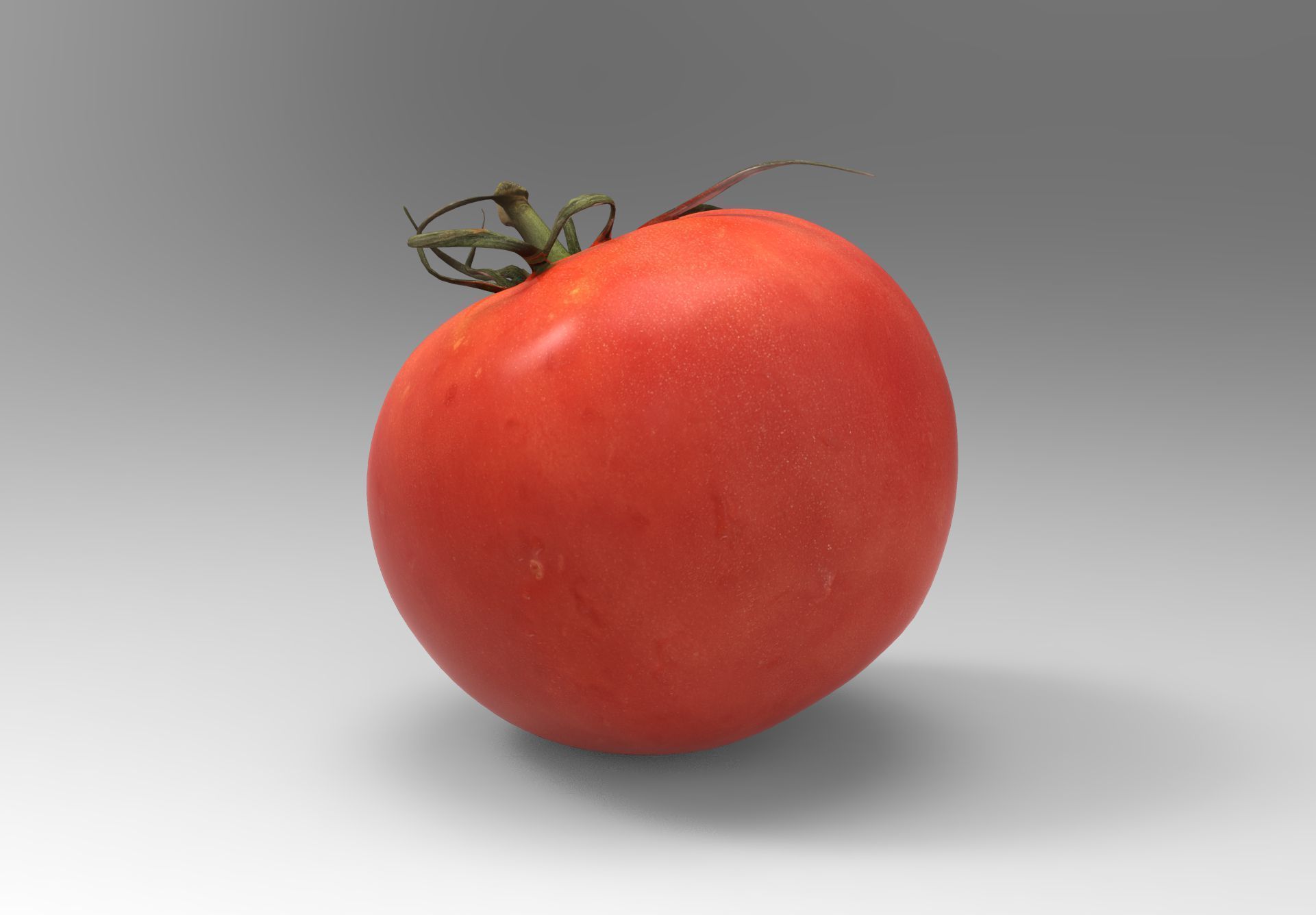 Tomato 3D model Low-poly 3D model_9