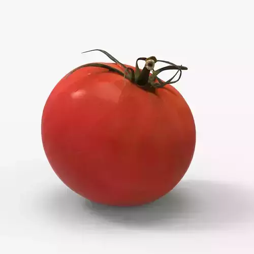 Tomato 3D model Low-poly 3D model