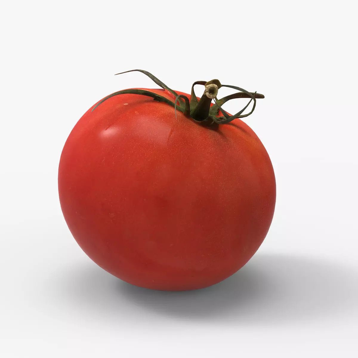 Tomato 3D model Low-poly 3D model_0