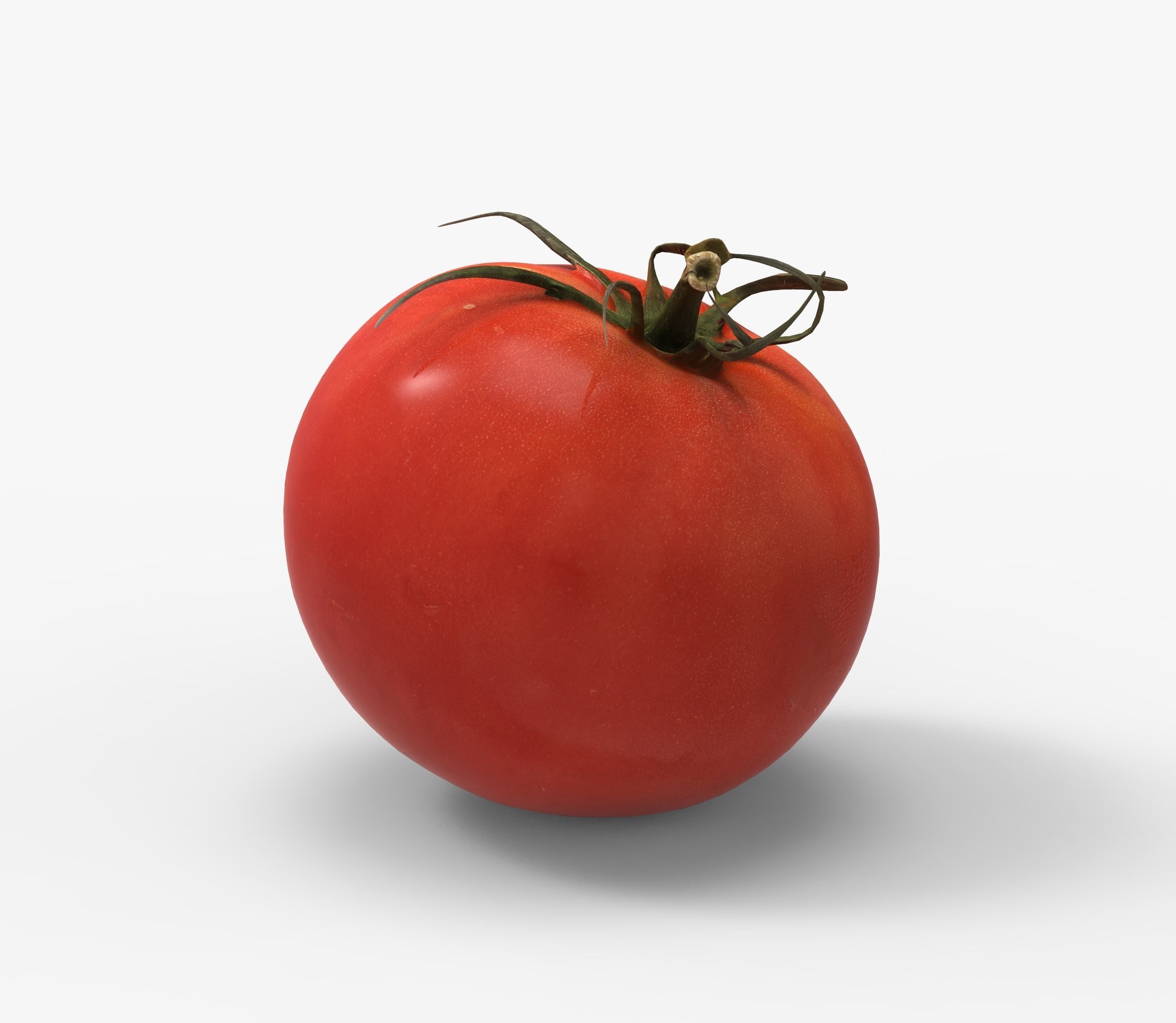 Tomato 3D model Low-poly 3D model_3