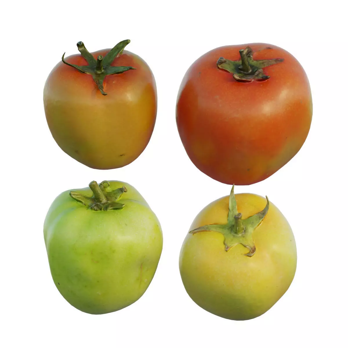 Tomato 03 3D model_0