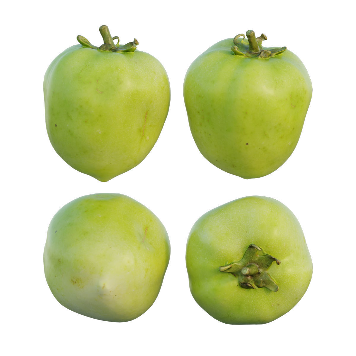 Tomato 03 3D model_5