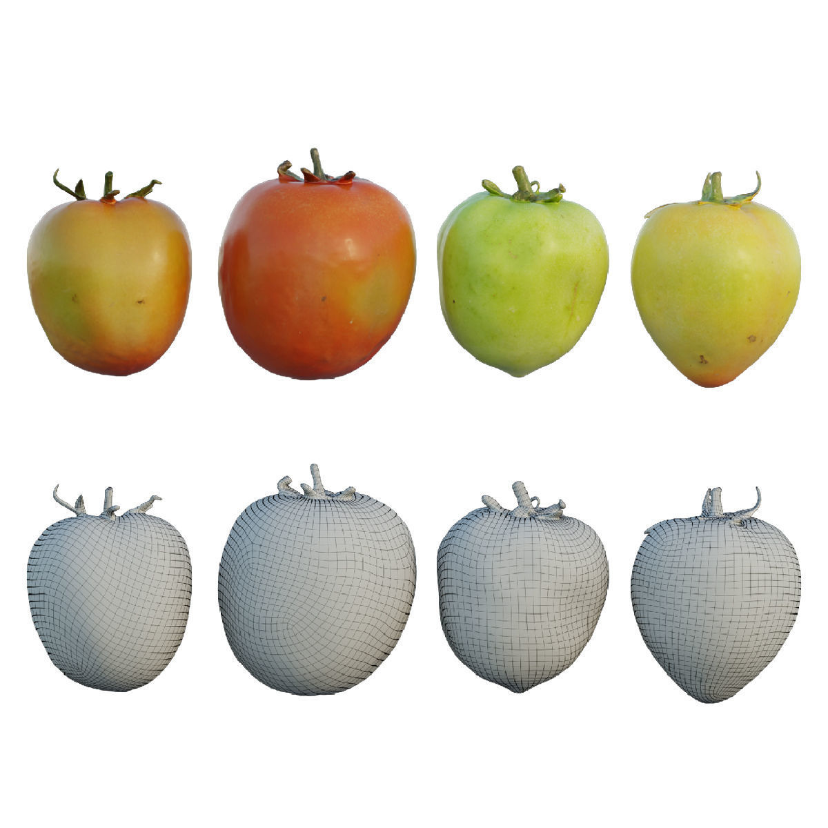 Tomato 03 3D model_2