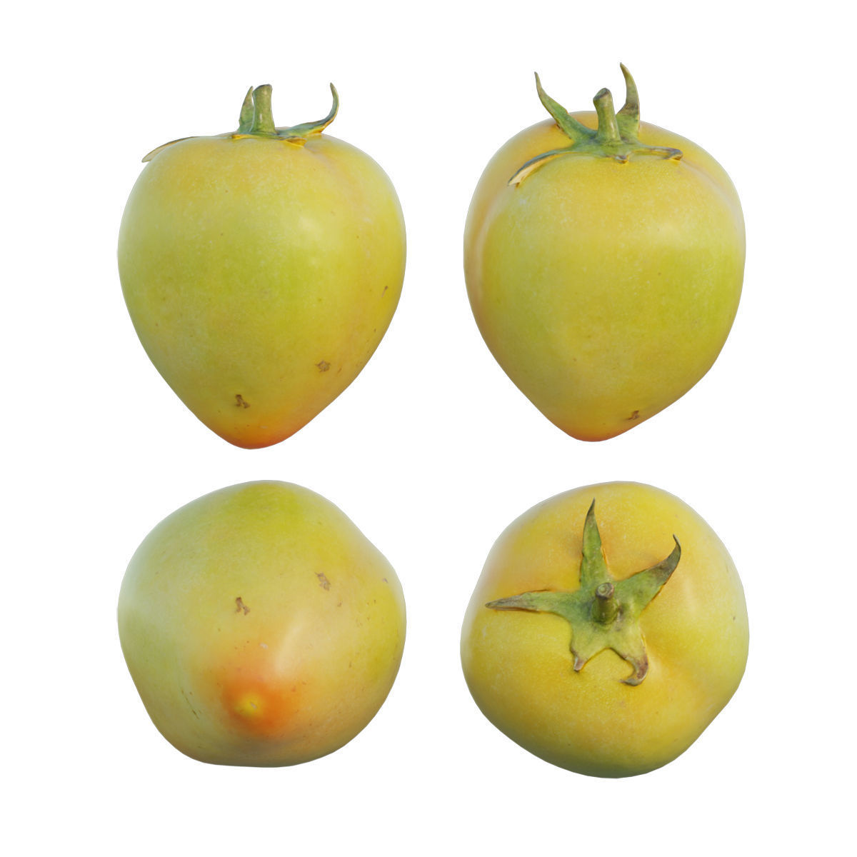 Tomato 03 3D model_6