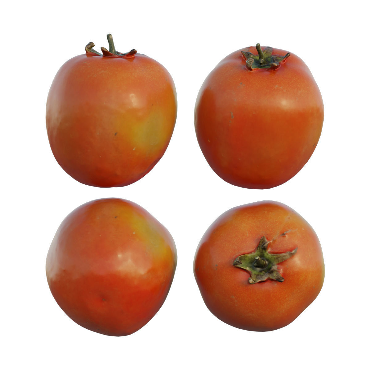 Tomato 03 3D model_4