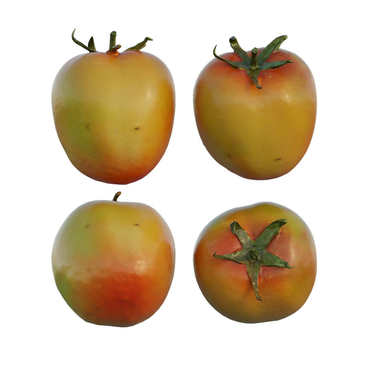Tomato 03 3D model_3