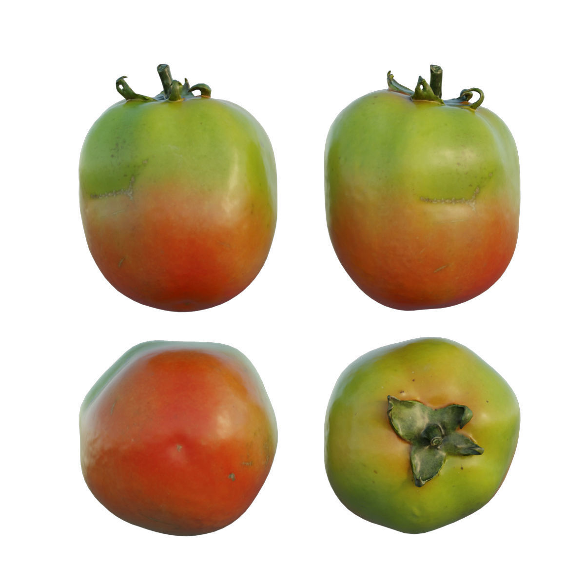 Tomato 04 3D model_5