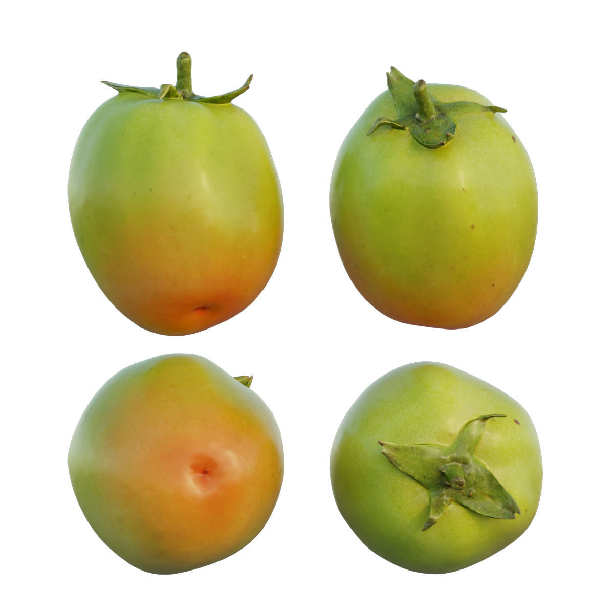 Tomato 04 3D model_1