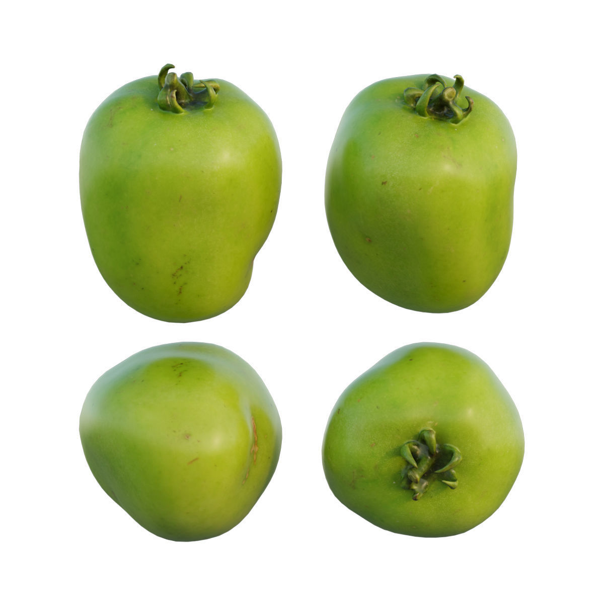 Tomato 04 3D model_7