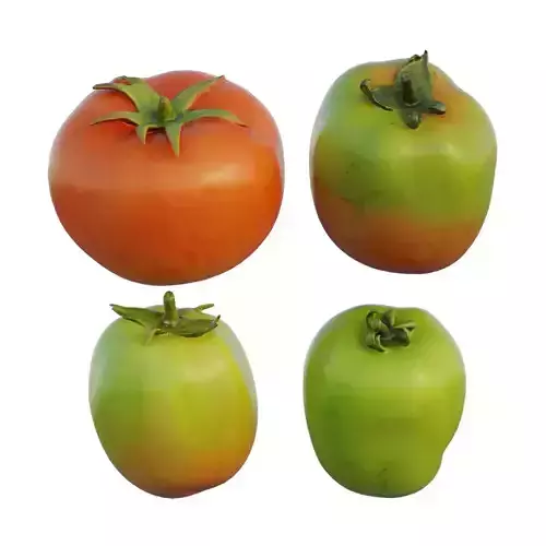 Tomato 04