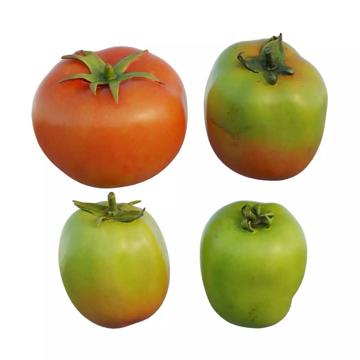 Tomato 04 3D model_0