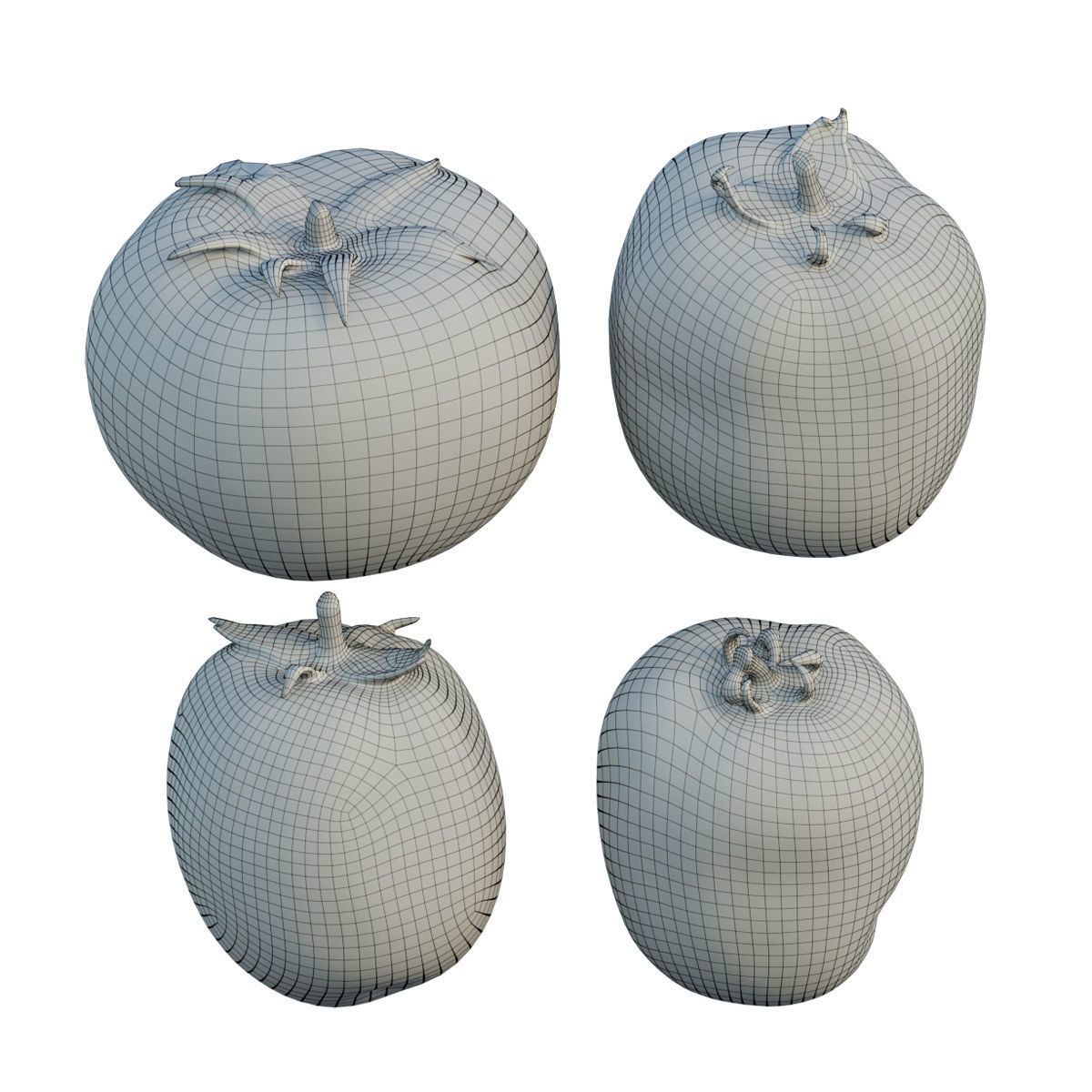 Tomato 04 3D model_4