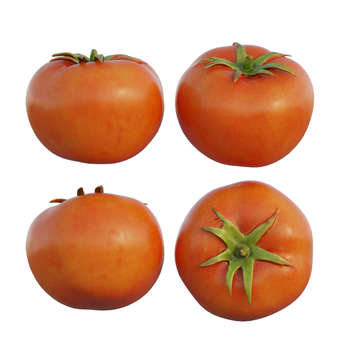 Tomato 04 3D model_6