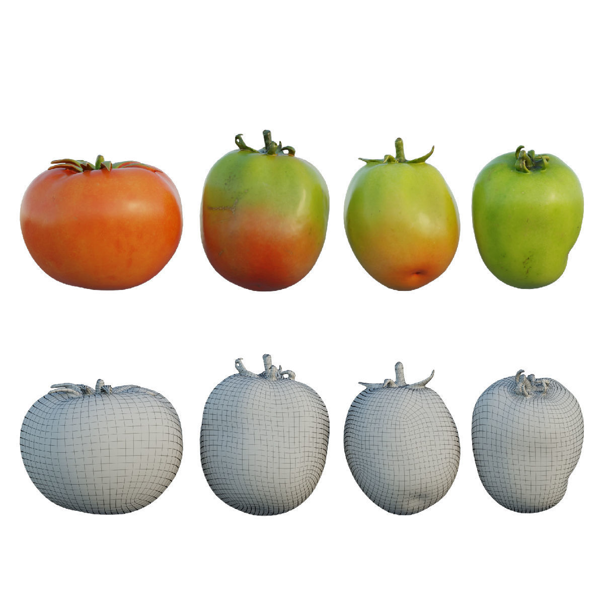 Tomato 04 3D model_2