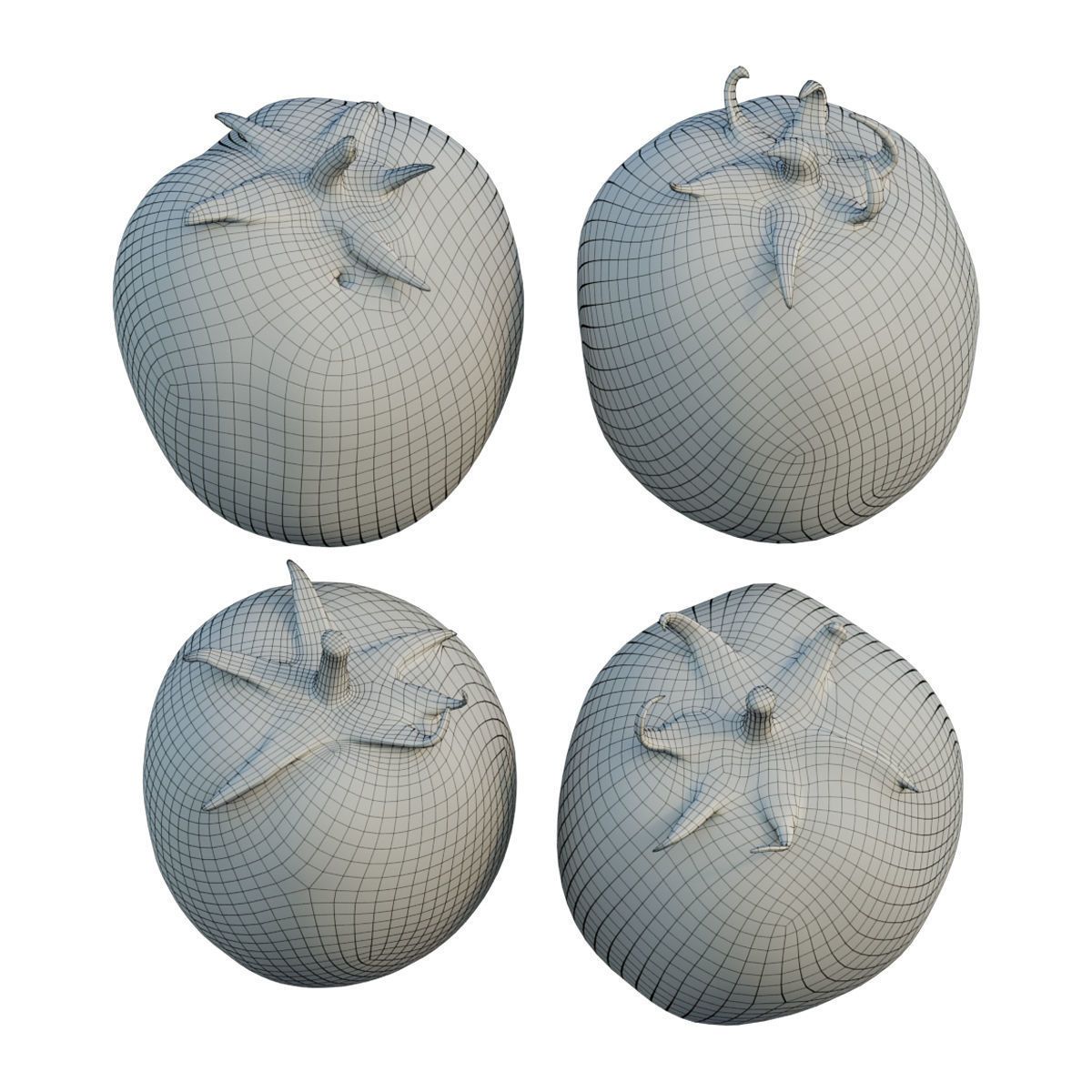 Tomato 05 3D model_7