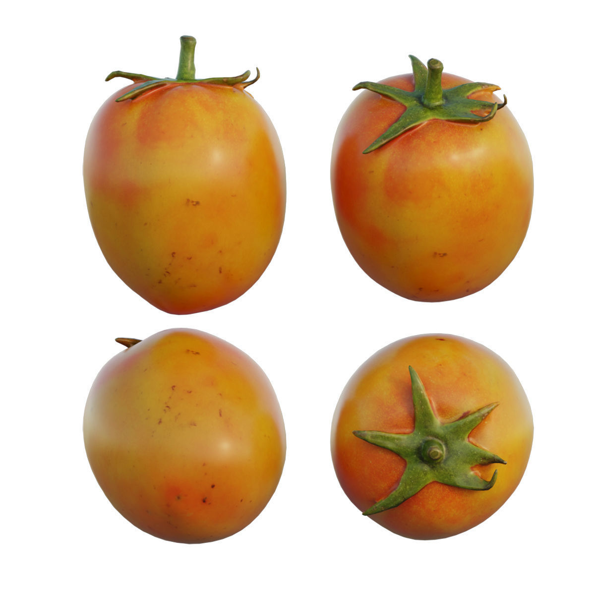 Tomato 05 3D model_5