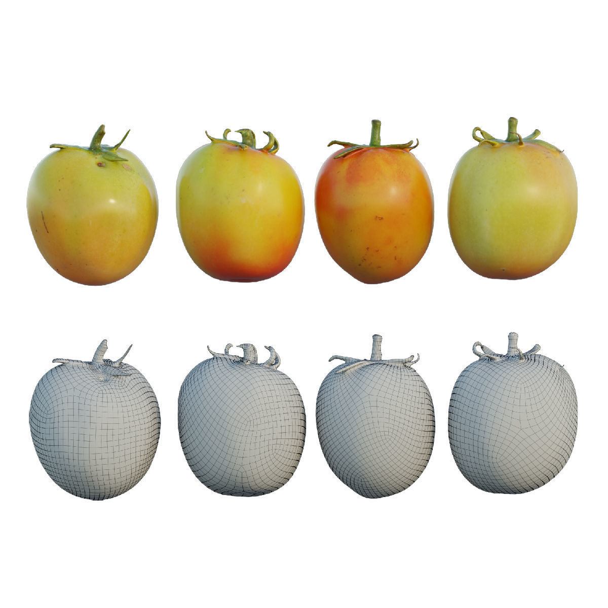 Tomato 05 3D model_1