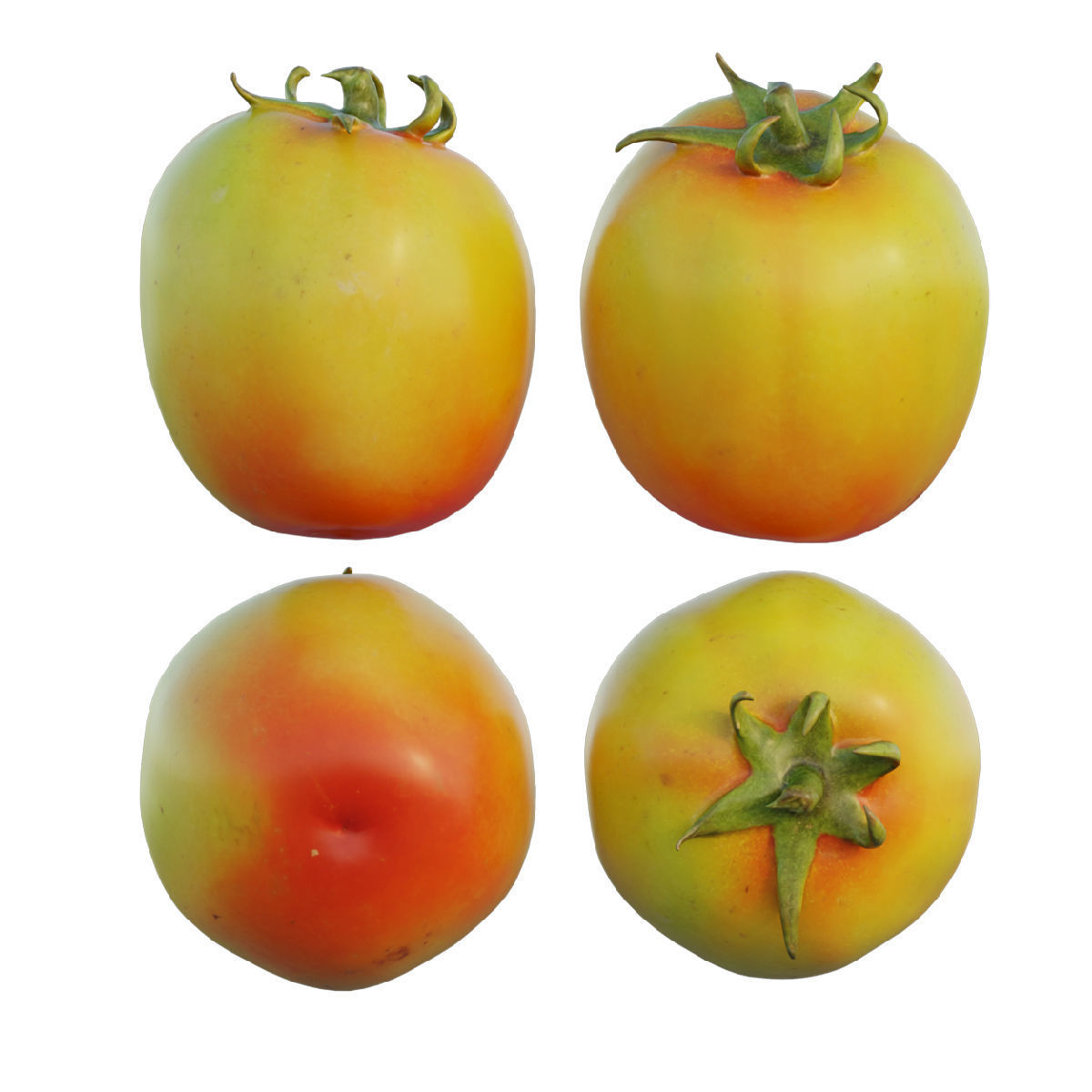 Tomato 05 3D model_4