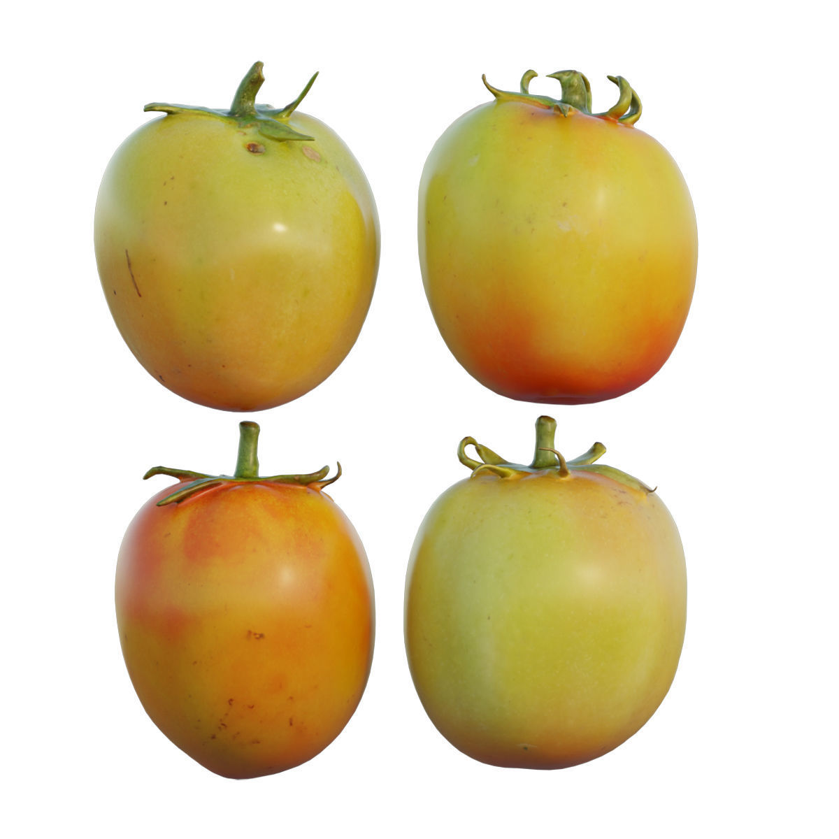 Tomato 05 3D model_2