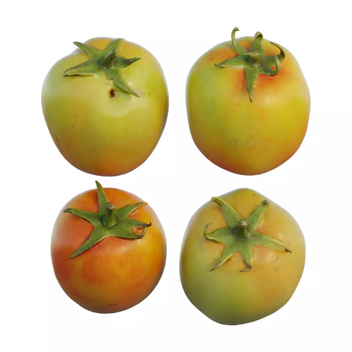 Tomato 05 3D model_0