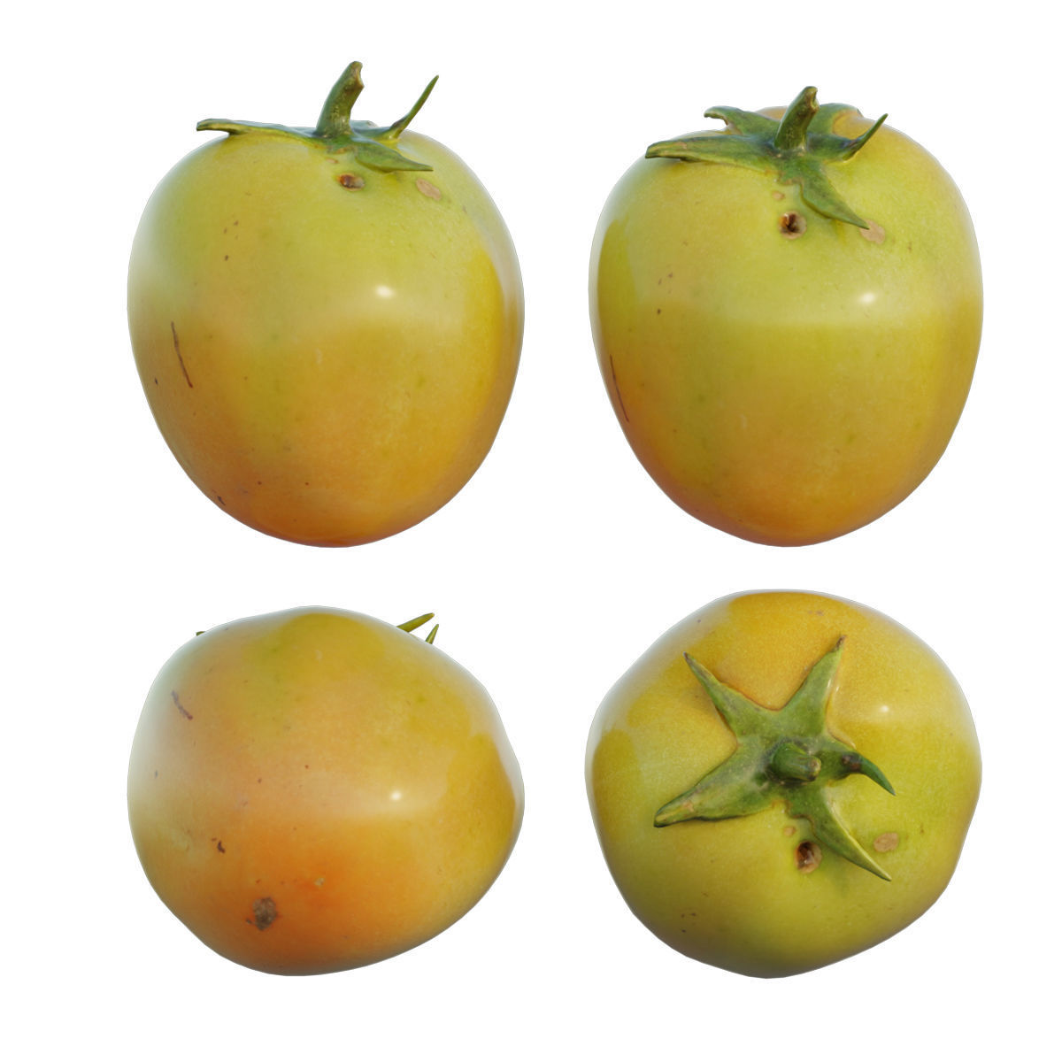 Tomato 05 3D model_3