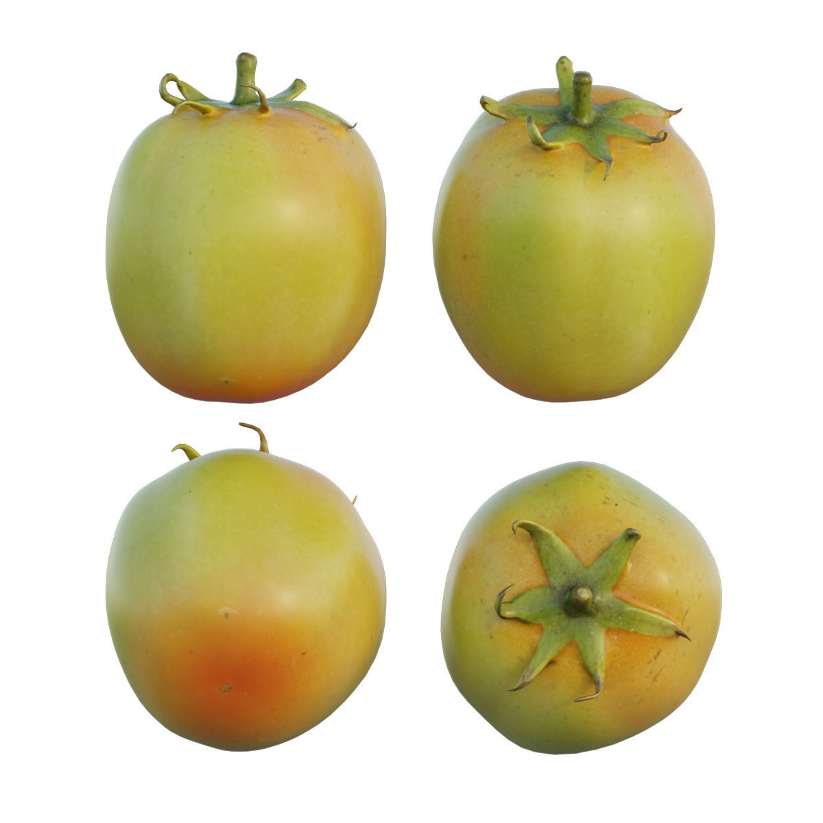 Tomato 05 3D model_6
