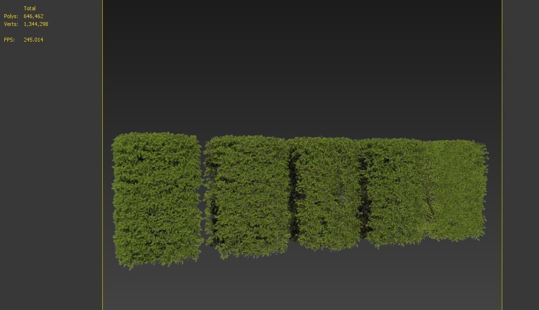 Ligustrum amurense hedge 3D model_7