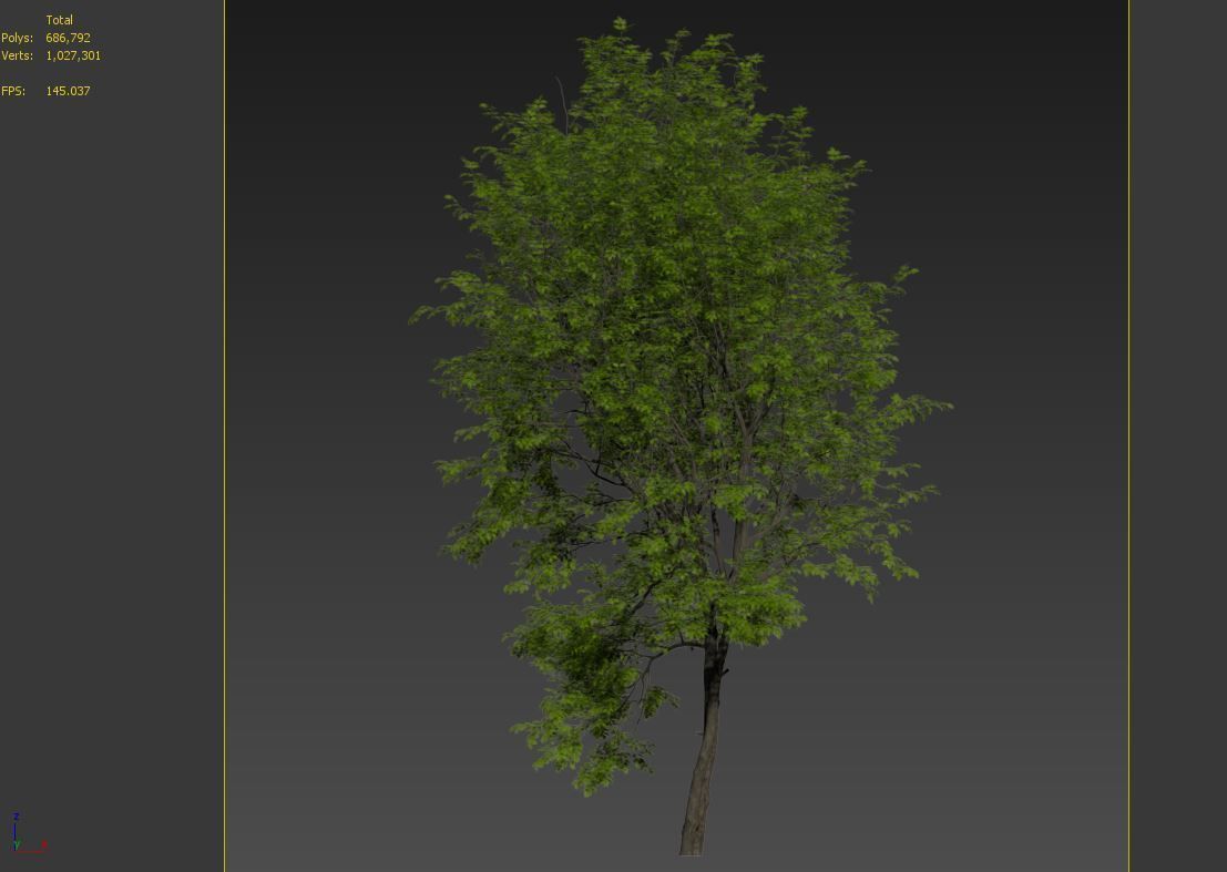 Green Ash 02 3D model_7