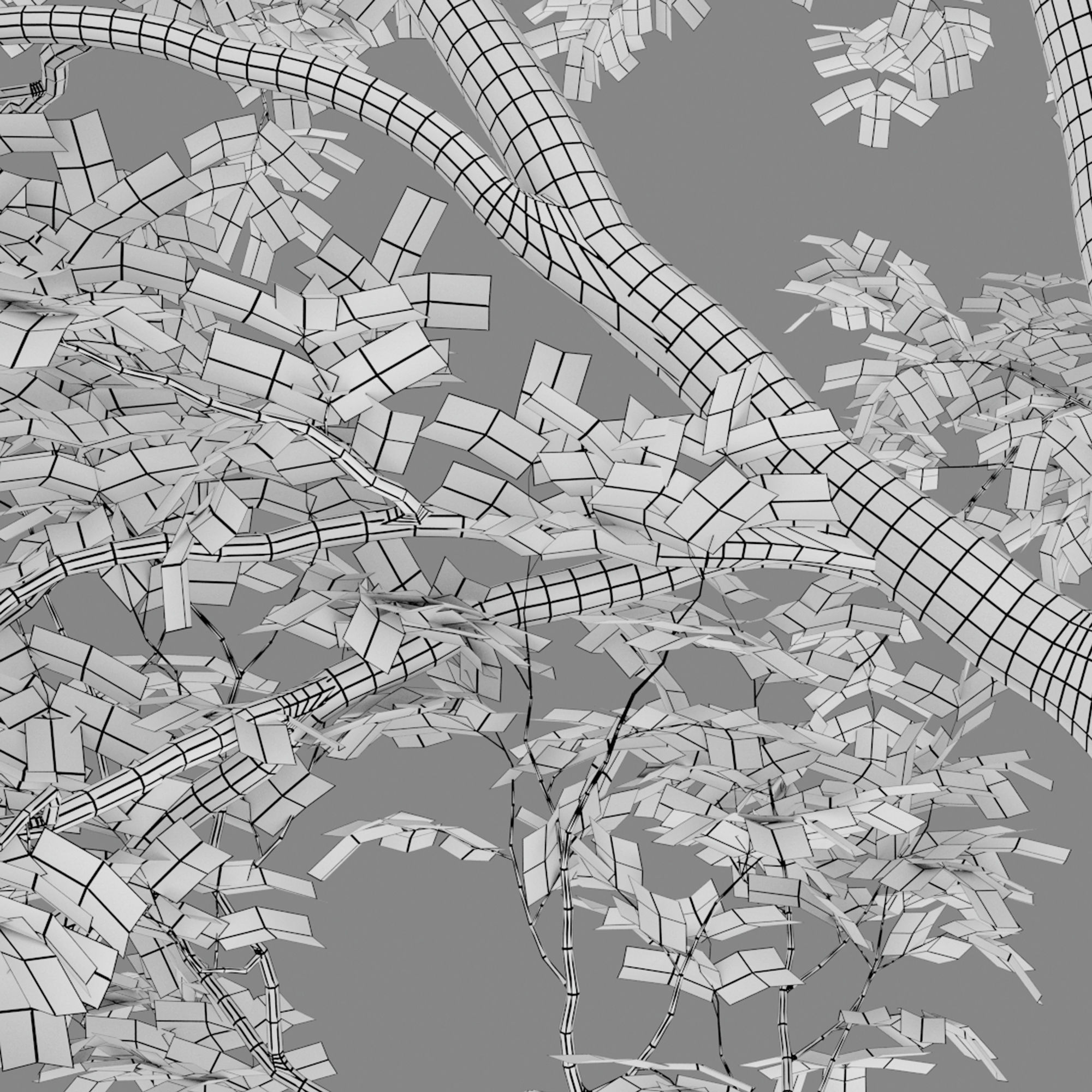 Green Ash 02 3D model_6