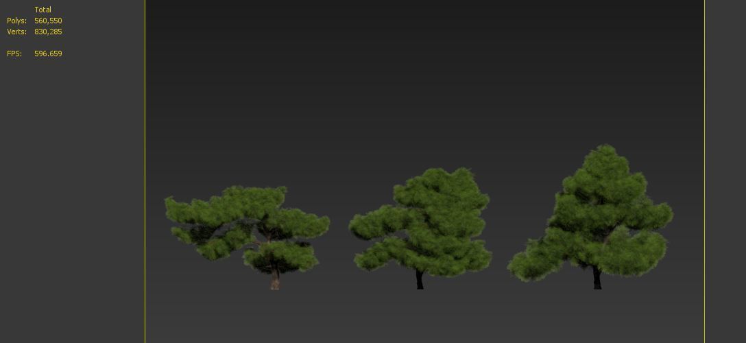 pinus parviflora 3D model_8