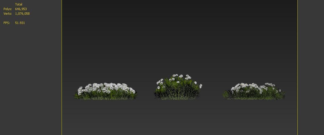 Iberis sempervirens 3D model_7