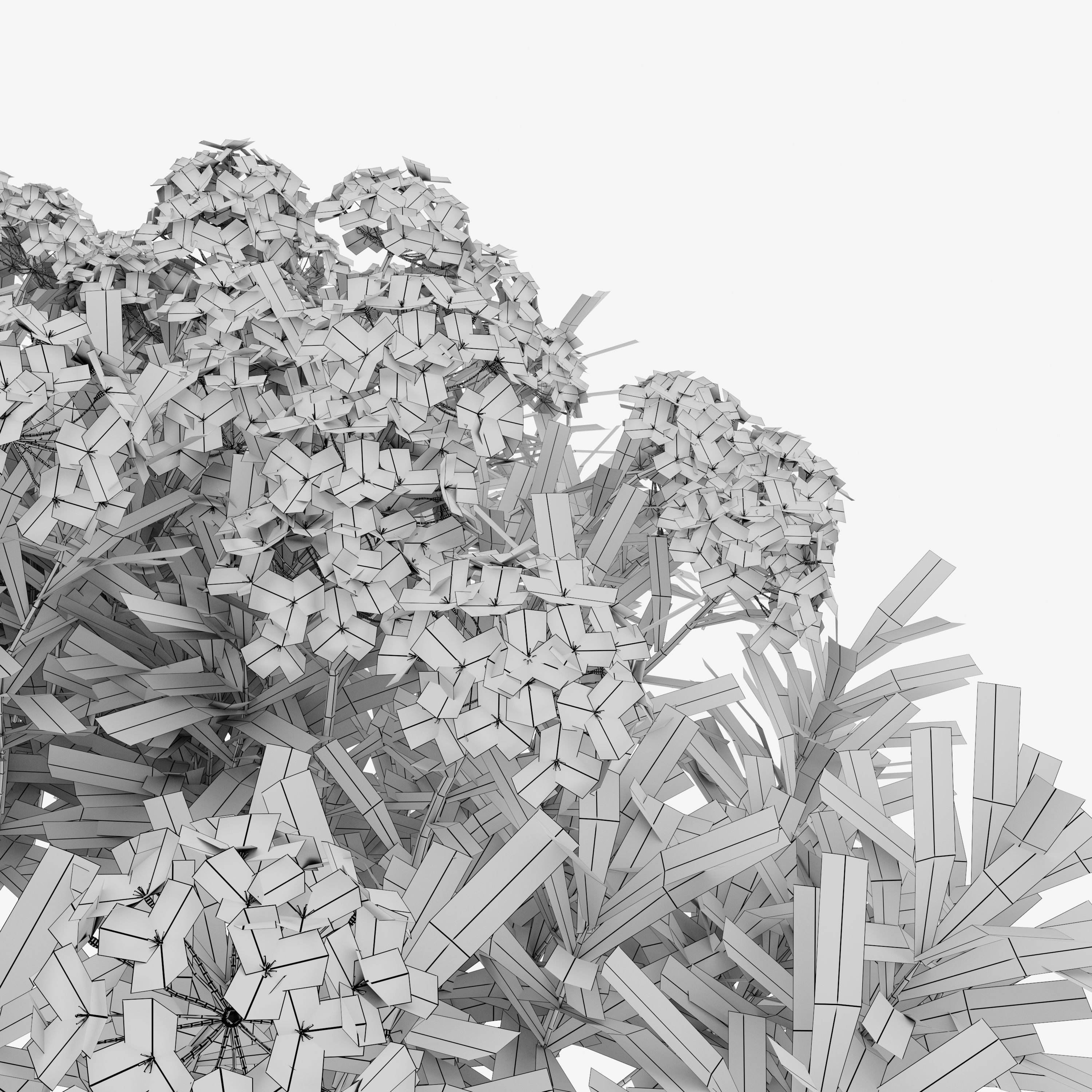 Iberis sempervirens 3D model_6